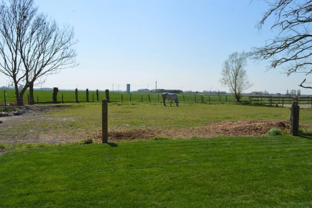 Korentil . Cosy House With Private Garden De Haan Exterior foto